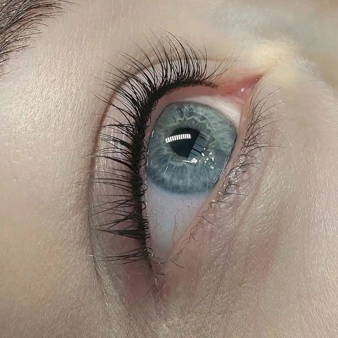 lash lift in rotterdam